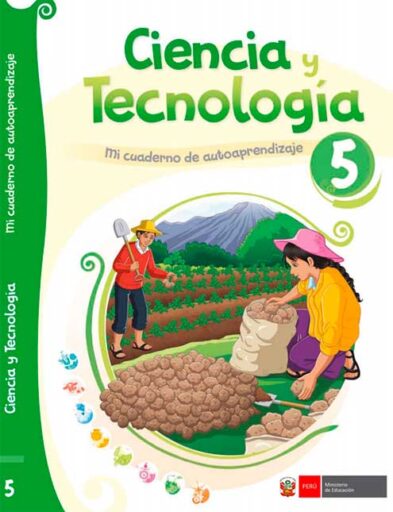 Cuaderno de Trabajo de Ciencia y Tecnología 6 🥇 - MINEDU